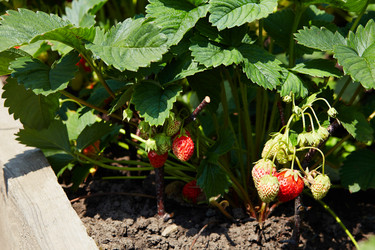 Similar image 21256397