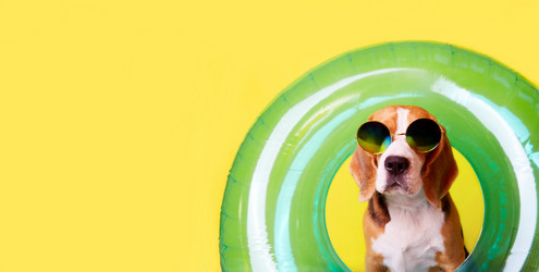 Similar image 21256401