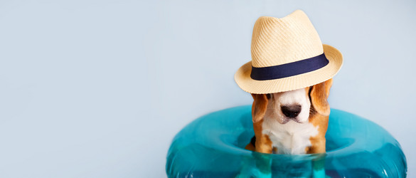 Similar image 21249926