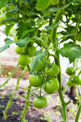 Similar image 21253010