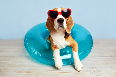 Similar image 21236310