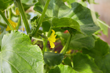 Similar image 21256404