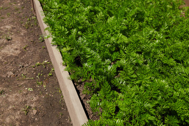 Similar image 21249928