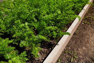 Similar image 21258107