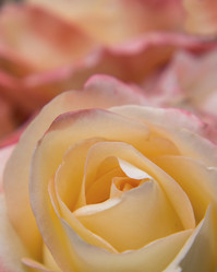 Similar image 21237575