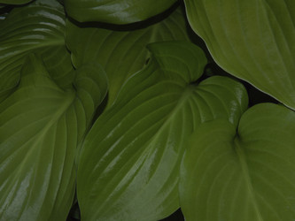 Similar image 21237577