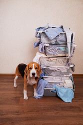 Similar image 21249930