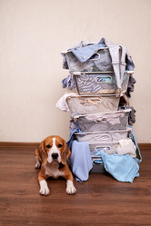 Similar image 21236315