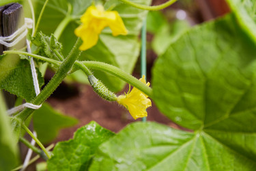 Similar image 21236319