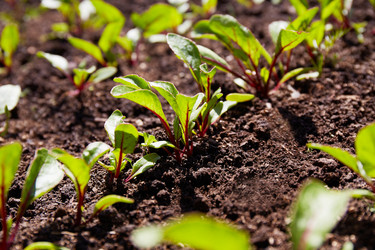 Similar image 21256407