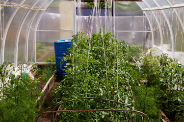 Similar image 21253016