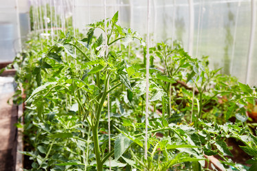 Similar image 21256408