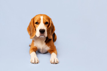 Similar image 21258112