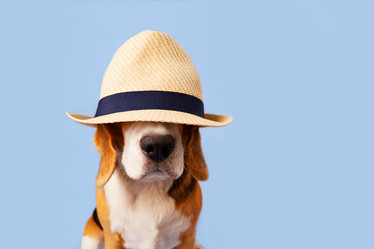 Similar image 21239492