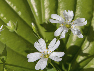 Similar image 21237580