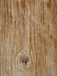 Similar image 21237581