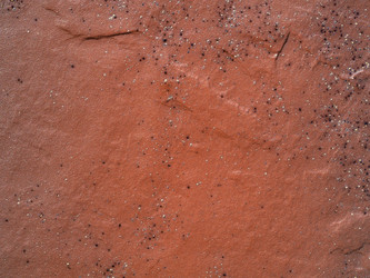 Similar image 21237582