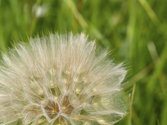 Similar image 21237585