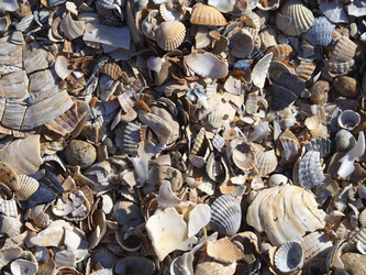 Similar image 21237586