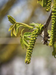 Similar image 21237587