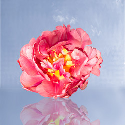 Similar image 21237588