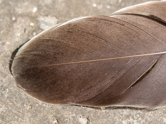 Similar image 21237589