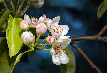 Similar image 21237308