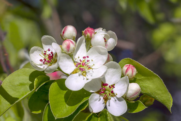 Similar image 21237309