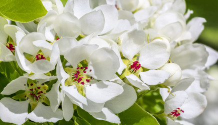 Similar image 21237311