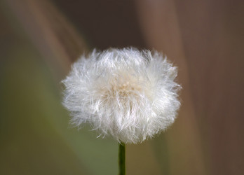 Similar image 21237312