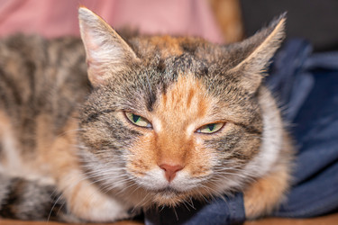 Similar image 21237233