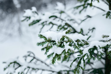 Similar image 21240776