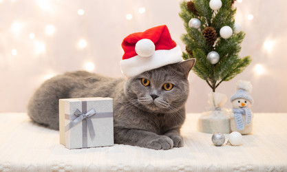 Similar image 21240777