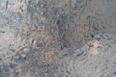 Similar image 21236417