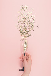 Similar image 21237481