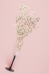 Similar image 21237489