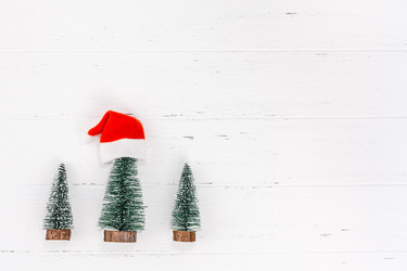 Similar image 21237505