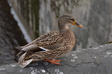 Similar image 21241007