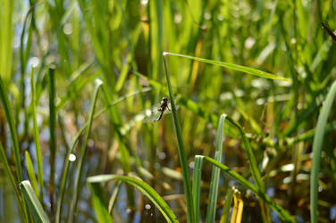 Similar image 21241008