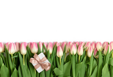 Similar image 21240787