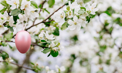 Similar image 21240795