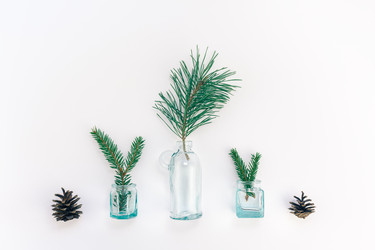 Similar image 21240124