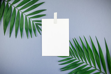 Similar image 21240128