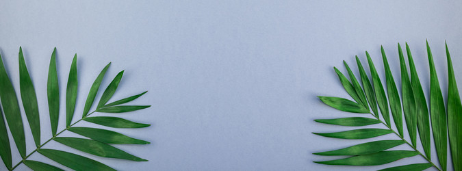 Similar image 21240131