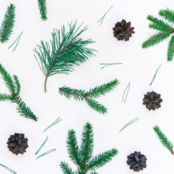 Similar image 21240138