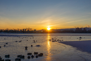 Similar image 21254213