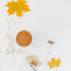 Similar image 21239627