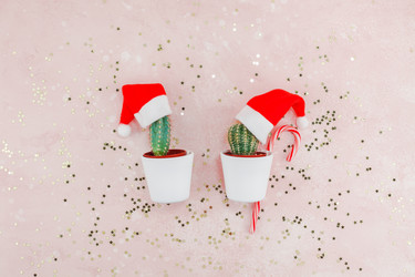 Similar image 21239641