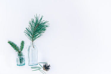 Similar image 21239645