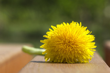 Similar image 21237313